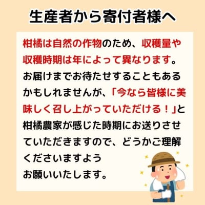 訳あり 愛媛みかん 1kg ミカン 蜜柑 みかん職人武田屋 愛南町