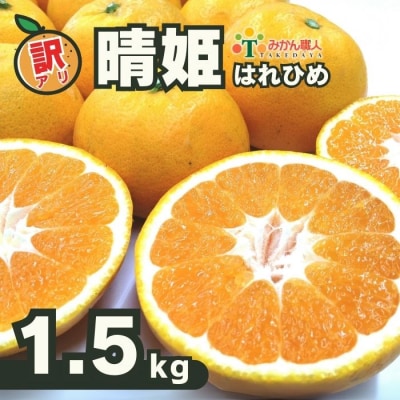 訳あり 晴姫 はれひめ 1.5kg 配送期間 12月上旬～なくなり次第終了 みかん職人武田屋
