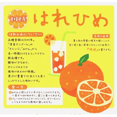 訳あり 晴姫 はれひめ 1.5kg 配送期間 12月上旬～なくなり次第終了 みかん職人武田屋