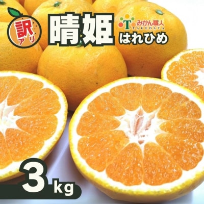 訳あり 晴姫 はれひめ 3kg 配送期間 12月上旬～なくなり次第終了 みかん職人武田屋