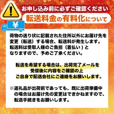 訳あり 晴姫 はれひめ 3kg 配送期間 12月上旬～なくなり次第終了 みかん職人武田屋