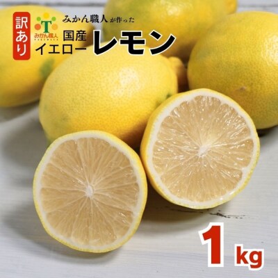 訳あり イエローレモン 1kg 11月中旬以降発送 みかん職人武田屋