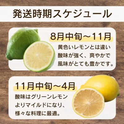 訳あり イエローレモン 1kg 11月中旬以降発送 みかん職人武田屋