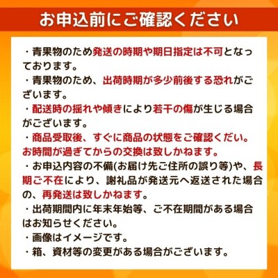 訳あり イエローレモン 1kg 11月中旬以降発送 みかん職人武田屋