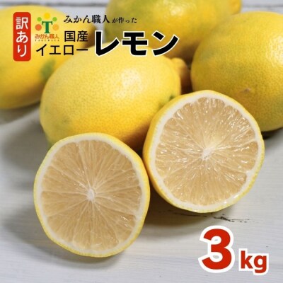 訳あり イエローレモン 3kg 11月中旬以降発送 みかん職人武田屋