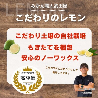 訳あり イエローレモン 3kg 11月中旬以降発送 みかん職人武田屋