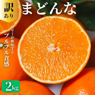 訳あり まどんな 2kg みかん 愛果 28号 ギフト 柑橘 愛南町青果市場 ※紅まどんな と同品種