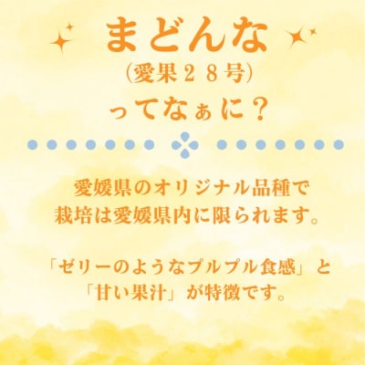 訳あり まどんな 2kg みかん 愛果 28号 ギフト 柑橘 愛南町青果市場 ※紅まどんな と同品種