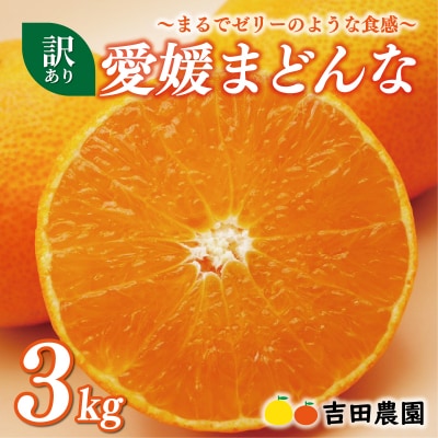 【先行予約】【数量限定 訳あり 愛媛 まどんな 3kg みかん 家庭用 愛果 吉田農園 愛媛県