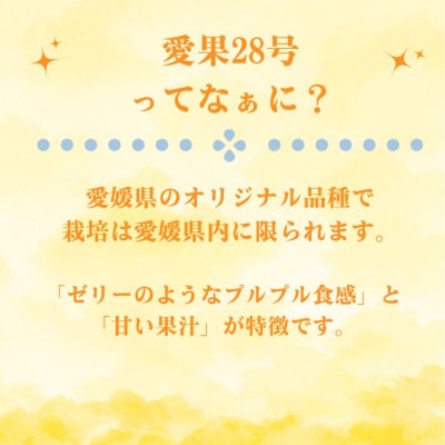 訳あり まどんな 3kg みかん 愛果 28号 ギフト 柑橘 愛南町青果市場 ※紅まどんな と同品種