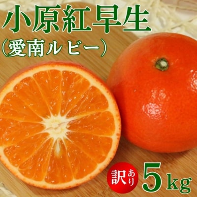訳あり 小原紅早生 ( 愛南ルビー )  5kg みかん 12000円 愛南町青果市場