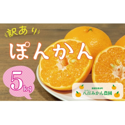 【先行受付:発送2027年1月下旬～】訳あり ポンカン 5kg 八百みかん農園 愛南町 愛媛県