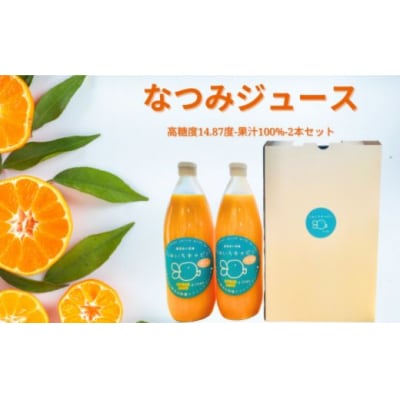 なつみ果汁 100%ストレートジュース 1000ml 2本セット うみいろキャビン 愛媛県 愛南町
