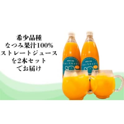 なつみ果汁 100%ストレートジュース 1000ml 2本セット うみいろキャビン 愛媛県 愛南町
