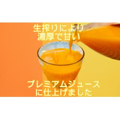 なつみ果汁 100%ストレートジュース 1000ml 2本セット うみいろキャビン 愛媛県 愛南町