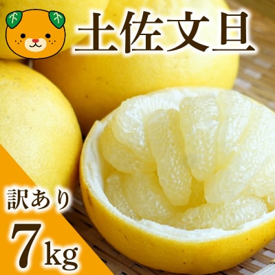 【先行予約:2027年度2月上旬～ 】訳あり 土佐文旦 7kg 文旦 ぶんたん 愛南町青果市場