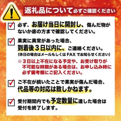 訳あり 土佐文旦 7kg みかん 蜜柑 文旦 ぶんたん 愛南町青果市場 発送:2025年2月中旬～ 