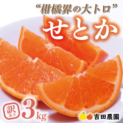 数量限定 先行受付 訳あり せとか 3kg 高級 ブランド 柑橘 吉田農園 愛南町 愛媛県