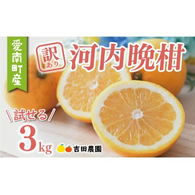 【高評価★4.8】 訳あり 河内晩柑 3kg 数量限定 みかん 吉田農園 愛南町 愛媛県
