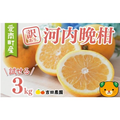 【先行予約】【高評価★4.8】 訳あり 河内晩柑 3kg 数量限定 みかん 吉田農園 愛南町 愛媛県