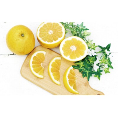 【高評価★4.8】 訳あり 河内晩柑 3kg 数量限定 みかん 吉田農園 愛南町 愛媛県