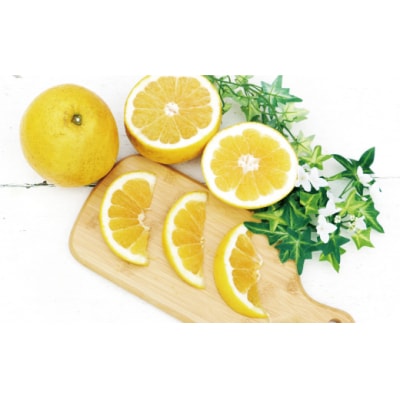 【高評価★4.8】 訳あり 河内晩柑 3kg 数量限定 みかん 吉田農園 愛南町 愛媛県