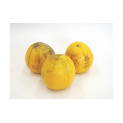 【高評価★4.8】 訳あり 河内晩柑 3kg 数量限定 みかん 吉田農園 愛南町 愛媛県