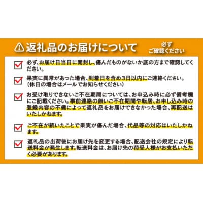 【高評価★4.8】 訳あり 河内晩柑 3kg 数量限定 みかん 吉田農園 愛南町 愛媛県