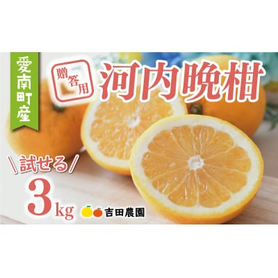 贈答用 河内晩柑 3kg 吉田農園 愛南町 愛媛県