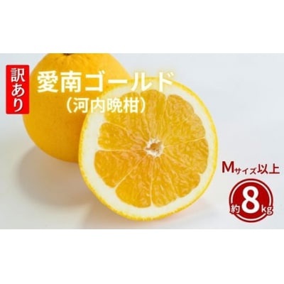 訳あり  愛南ゴールド 8kg  Mサイズ以上