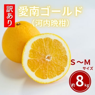 訳あり 愛南ゴールド 約8kg 河内晩柑 S~Mサイズ 和家農園  