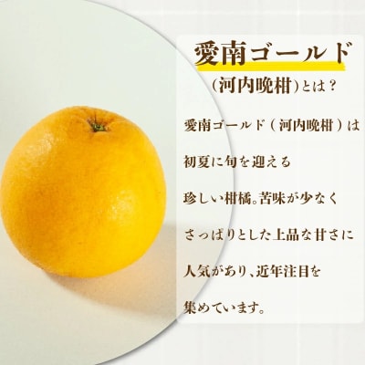 訳あり 愛南ゴールド 約8kg 河内晩柑 S~Mサイズ 和家農園  