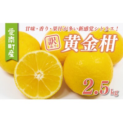 訳あり 黄金柑 2.5kg みかん わけあり おうごんかん ブランド 果樹園みどり 愛南町 愛媛県