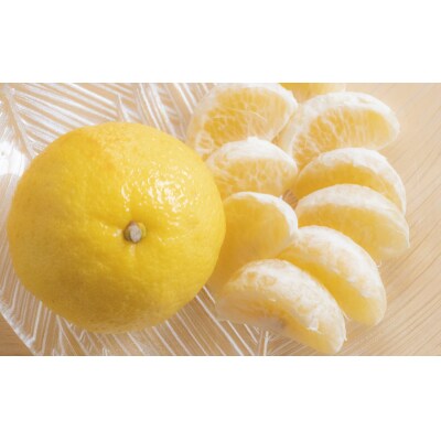 訳あり 黄金柑 2.5kg みかん わけあり おうごんかん ブランド 果樹園みどり 愛南町 愛媛県