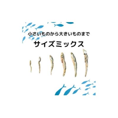 ごまいりこ 850g 伊予乃国 いりこ おつまみ おやつ 愛媛県 愛南町
