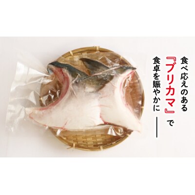 お試し用 ブリカマ 2切れ × 1パック 人気 国産 養殖 ぶりかま ハマスイ 愛南町 愛媛県