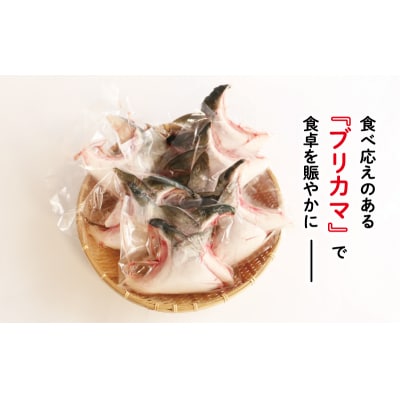 ブリカマ 2切れ × 6パック 人気 国産 養殖 冷凍 ぶりかま 真空 パック ハマスイ 愛南町 愛