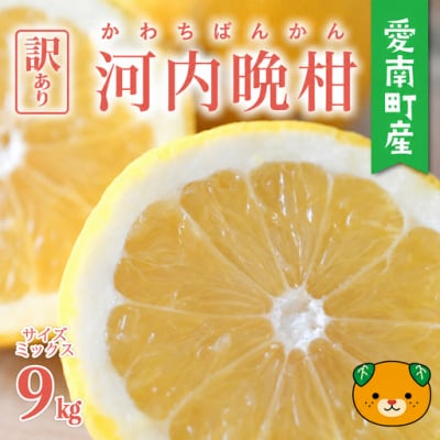 【先行予約】数量限定 訳あり 河内晩柑 樹齢 30年以上 9kg みかんの山祥 愛南町 愛媛県
