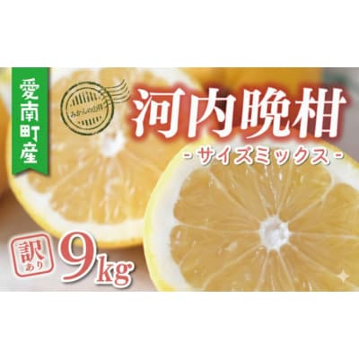 数量限定 先行受付 訳あり 河内晩柑 樹齢 25年以上 9kg みかんの山祥 愛南町 愛媛県