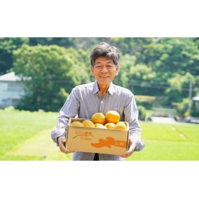 訳あり 河内晩柑 8kg サイズミックス ( Mサイズ 以上 ) みかん の山祥 愛南町 愛媛県