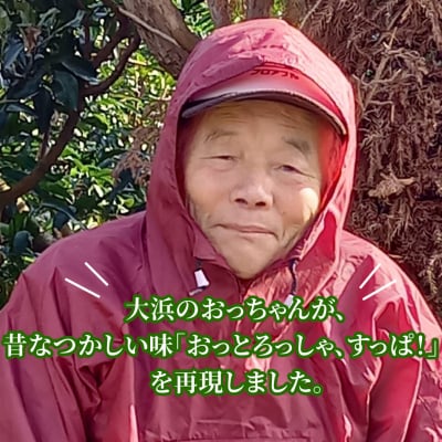 訳あり 甘夏 8kg 愛媛県 愛南町 愛南町青果市場