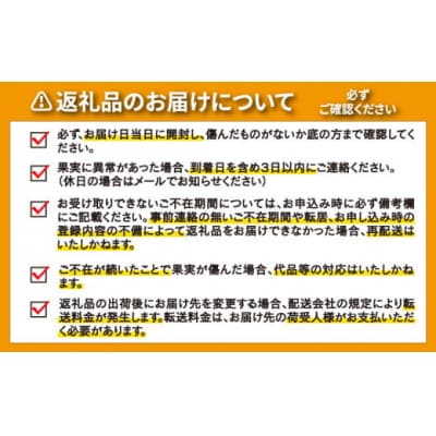 訳あり 甘夏 8kg 愛媛県 愛南町 愛南町青果市場