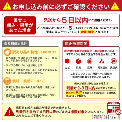 【先行予約】訳あり 甘夏 8kg +傷み補償分1割程度増量柑橘 愛媛県 愛南町 愛南町青果市場