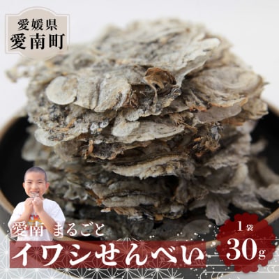 愛南まるごとイワシせんべい 1袋 30g 伊予乃国