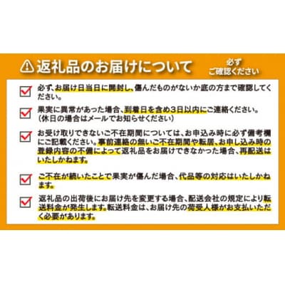 訳あり 河内晩柑 2L サイズ 以上 5玉 ( 3kg 弱 ) サイズミックス 大樹農園 愛南町