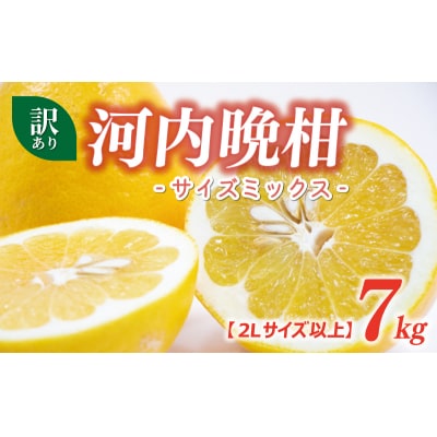 訳あり 河内晩柑 2L サイズ 以上 7kg サイズミックス 大樹農園 愛南町 愛媛県