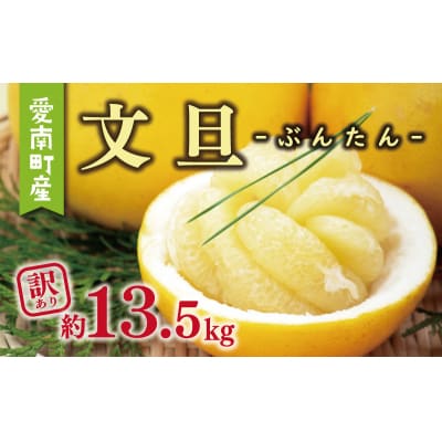 訳あり 文旦 13.5kg + 傷み補償 500g ミッチーのおみかん畑 愛南町 愛媛県