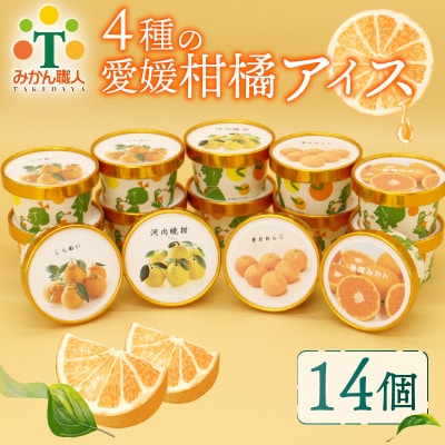 みかん職人が作った柑橘カップアイス4種 14個 (夢オレンジ・愛媛みかん・河内晩柑・しらぬい)
