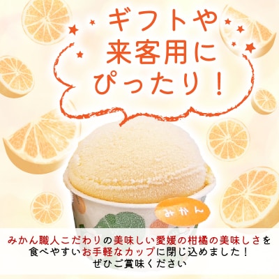 みかん職人が作った柑橘カップアイス4種 14個 (夢オレンジ・愛媛みかん・河内晩柑・しらぬい)