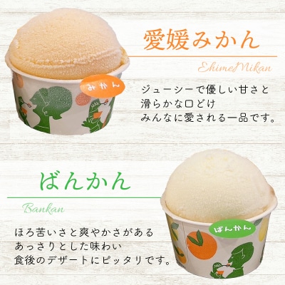 みかん職人が作った柑橘カップアイス4種 12個 (夢オレンジ・愛媛みかん・河内晩柑・しらぬい)